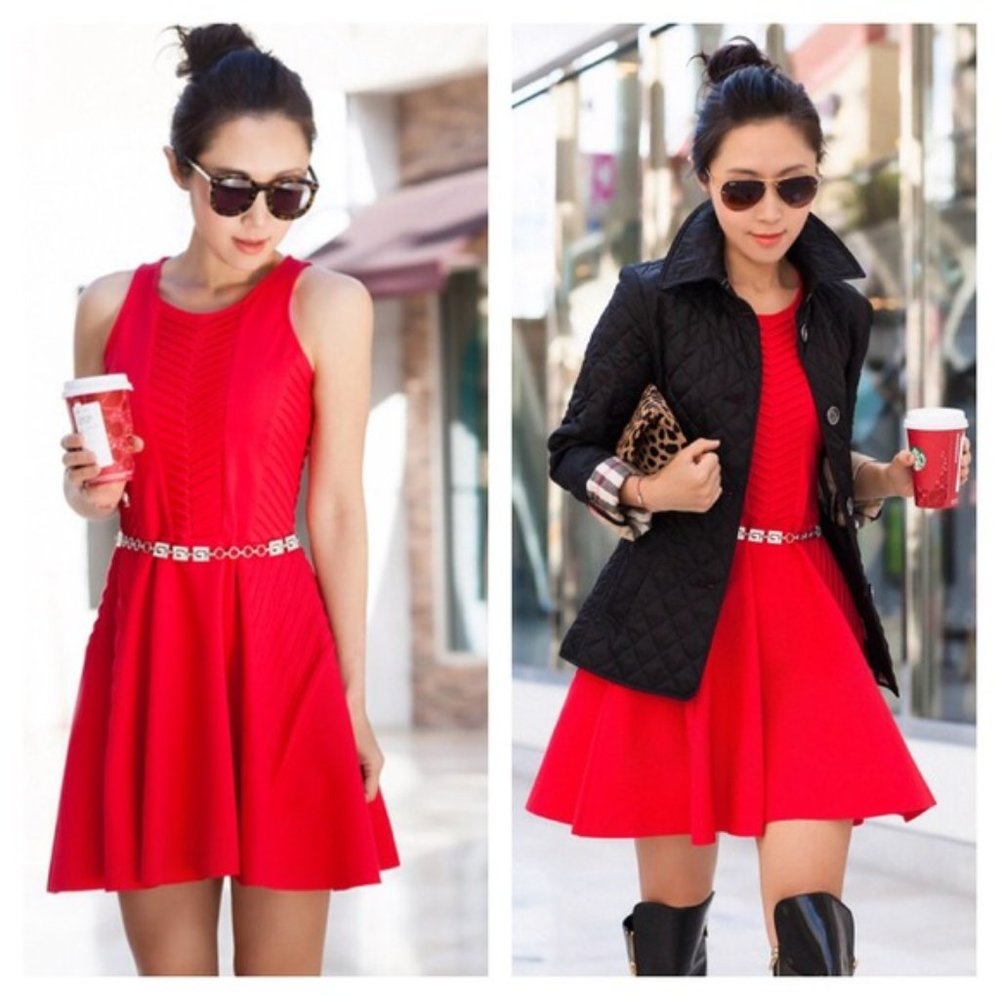 Parker Fay Fit and Flare Dress